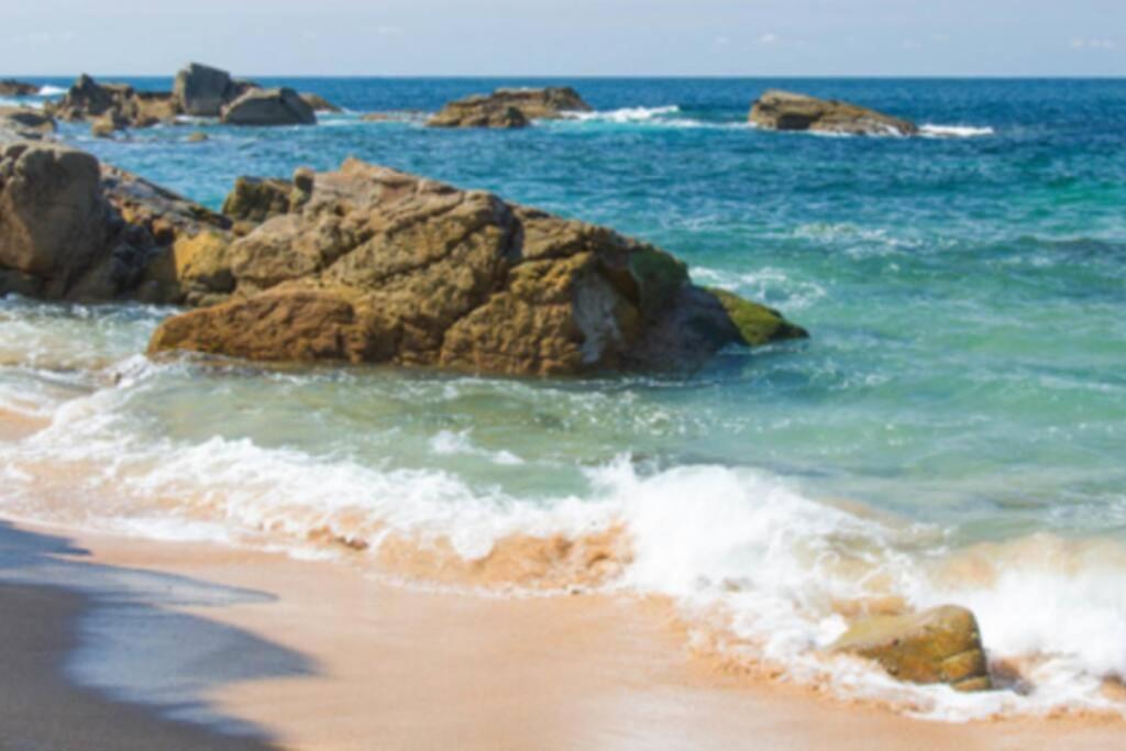Le Petit Cote Ouest - Appt Dans Les Pins Pres De La Plage Ле-Сабль-д’Олон Экстерьер фото