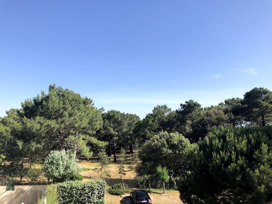 Le Petit Cote Ouest - Appt Dans Les Pins Pres De La Plage Ле-Сабль-д’Олон Экстерьер фото